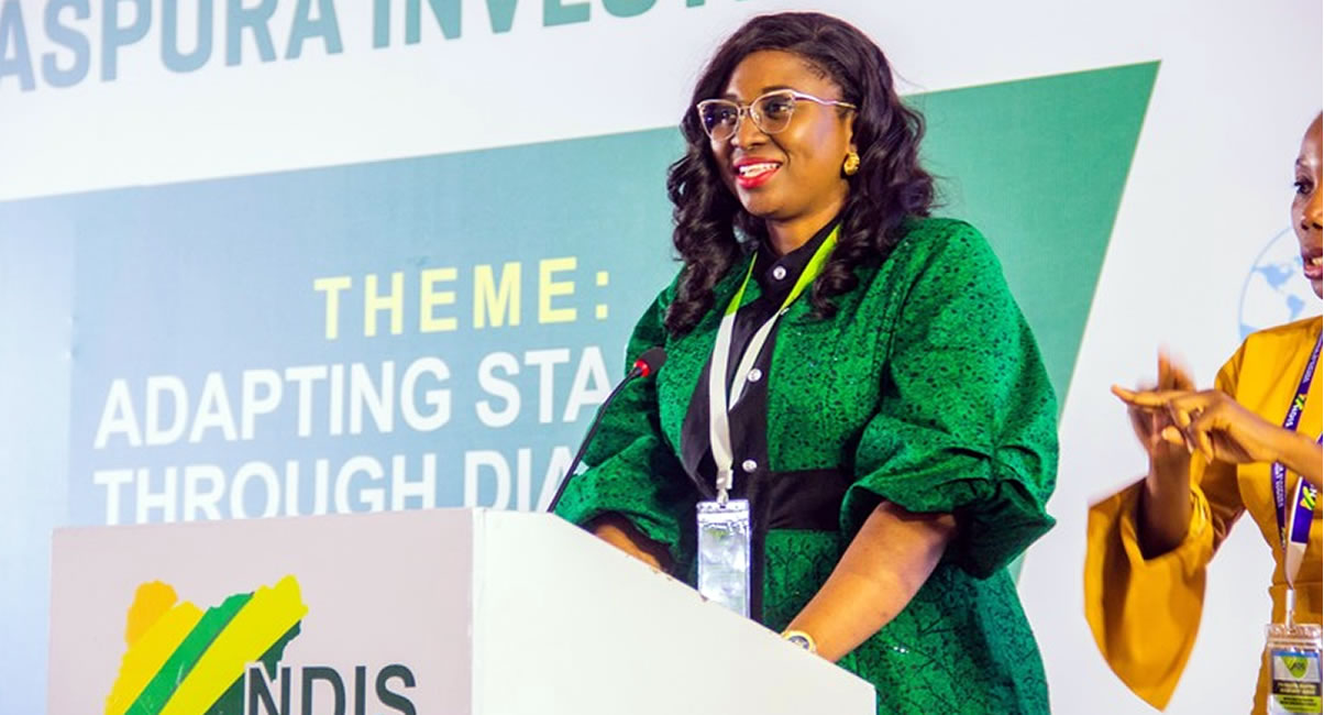 Nigeria Diaspora Investment Summit